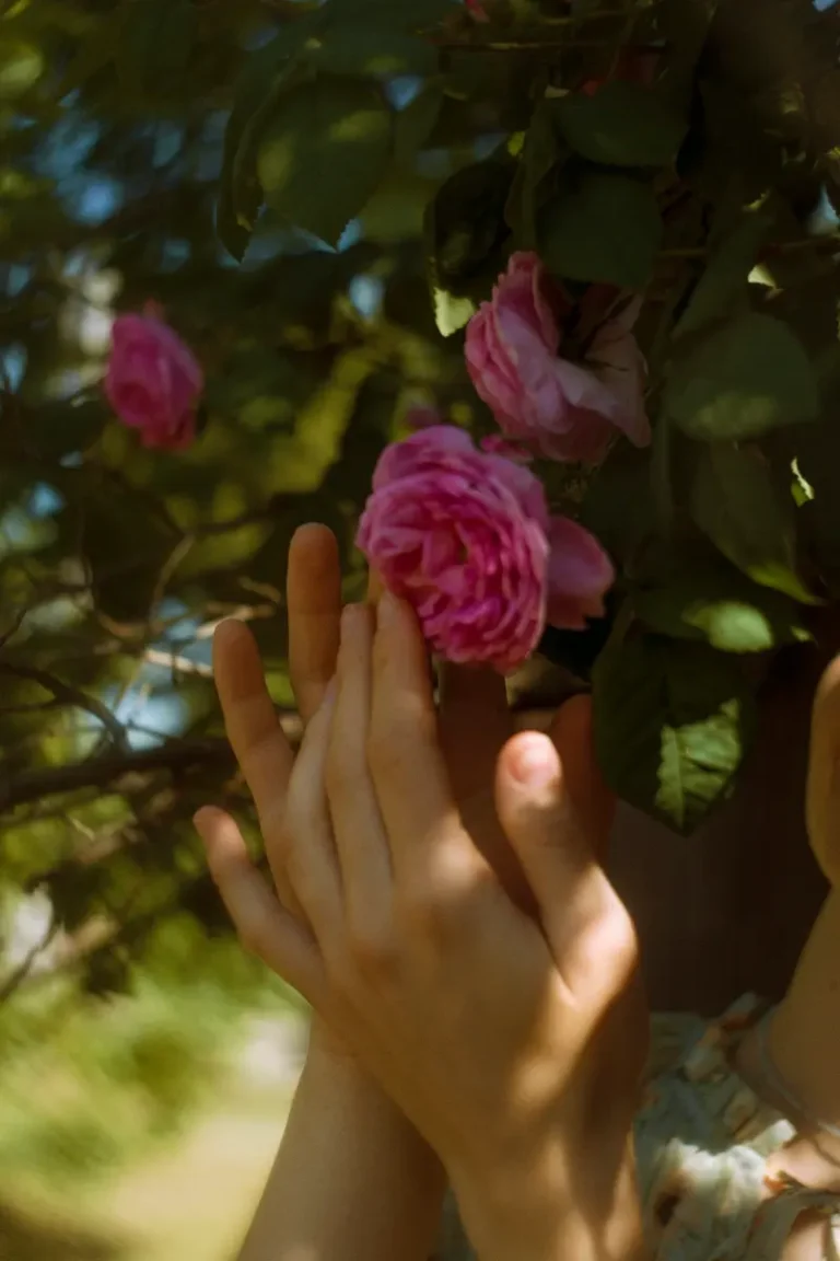 Roses — BLISS Magazine, August 2023